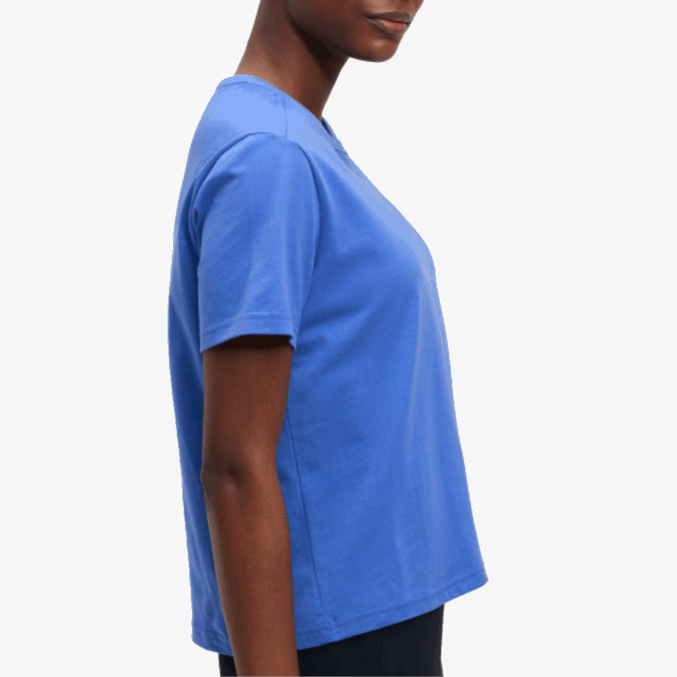 Graphic-t Sull'esecuzione Di Cobalto